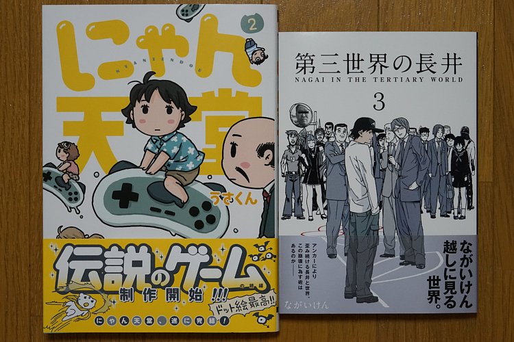 「にゃん天堂」2巻、「第三世界の長井」3巻