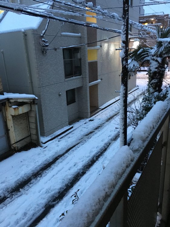 積雪@関東