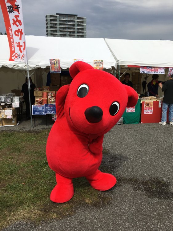 レッドブル・エアレース@海浜幕張01